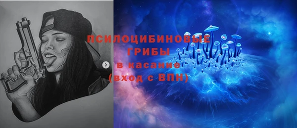 марки nbome Заводоуковск