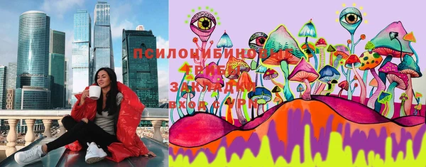 марки nbome Заводоуковск