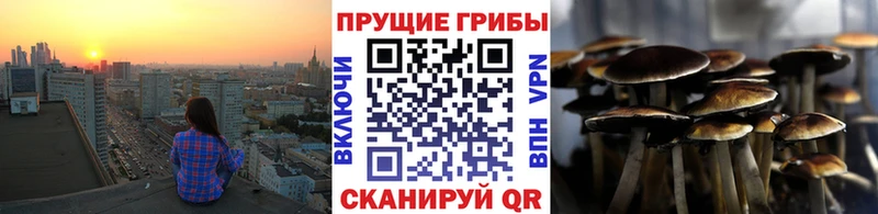 где купить   Димитровград  Галлюциногенные грибы ЛСД 